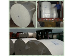 Wood pulp/IP/WY/GP/DT 绒毛浆
